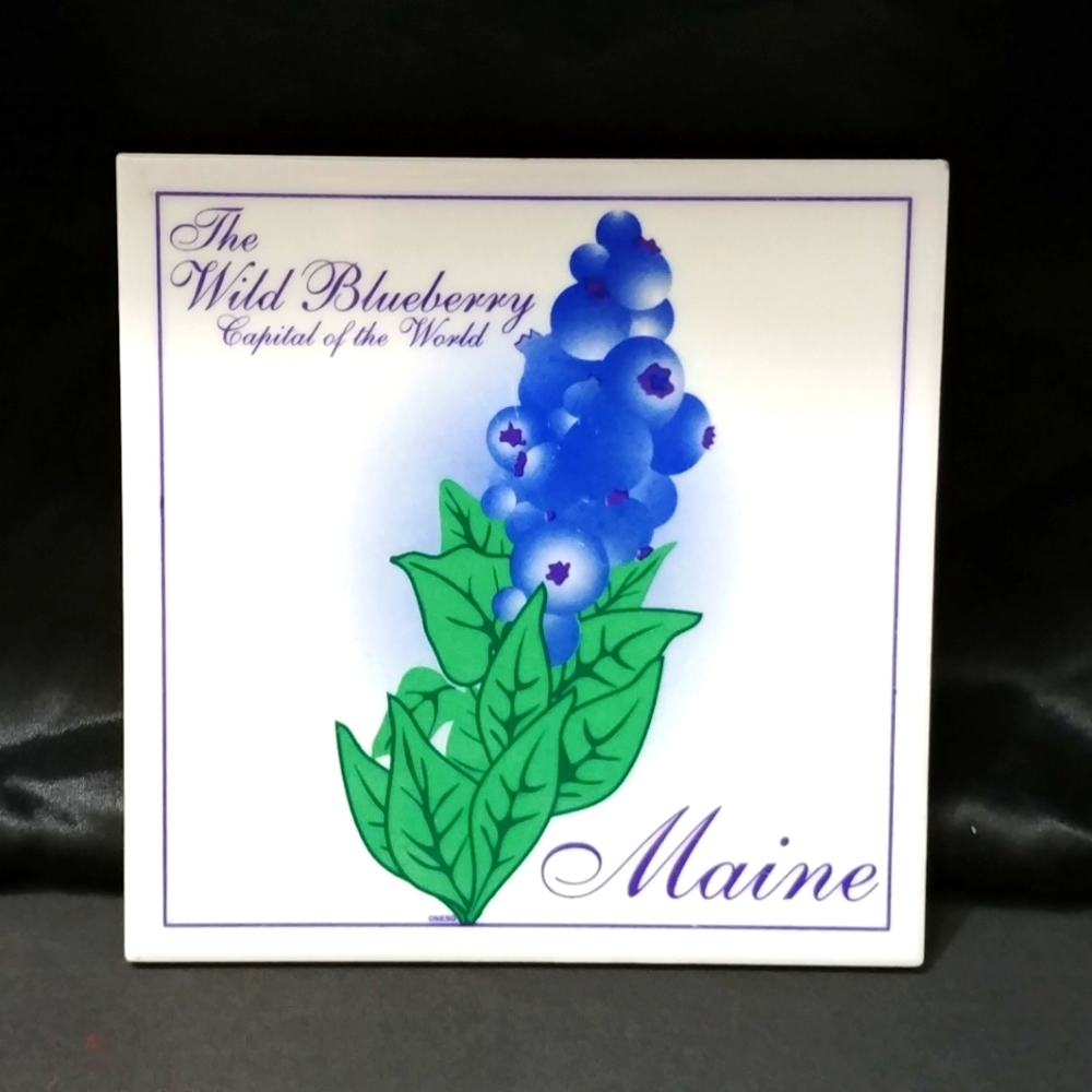 The Wild Blueberry Souvenir Maine Vintage Trivet Tile